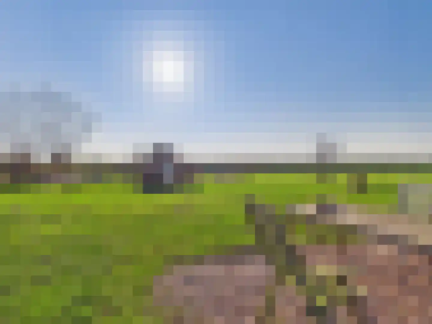 Groot Cambrondijk 13 Vogelwaarde thumbnail 57