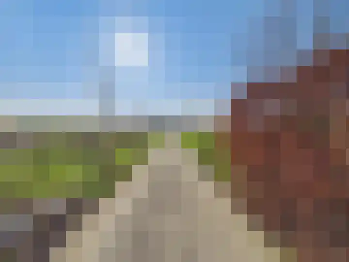 Groot Cambrondijk 13 Vogelwaarde thumbnail 60