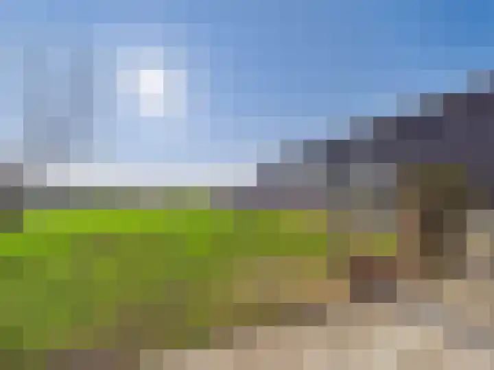 Groot Cambrondijk 13 Vogelwaarde thumbnail 63