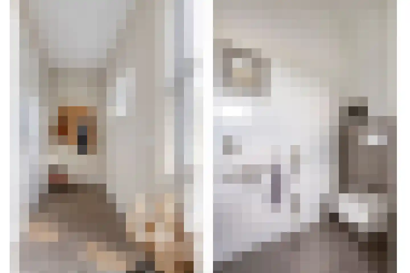 Groot Deunkweg 20 Aalten thumbnail 11