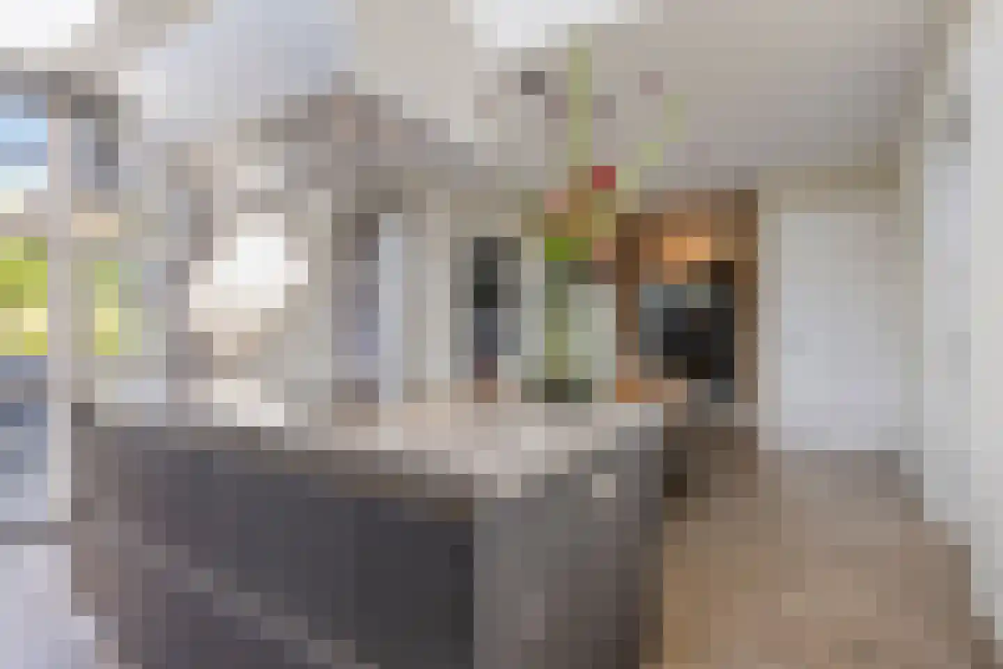 Groot Deunkweg 20 Aalten thumbnail 22
