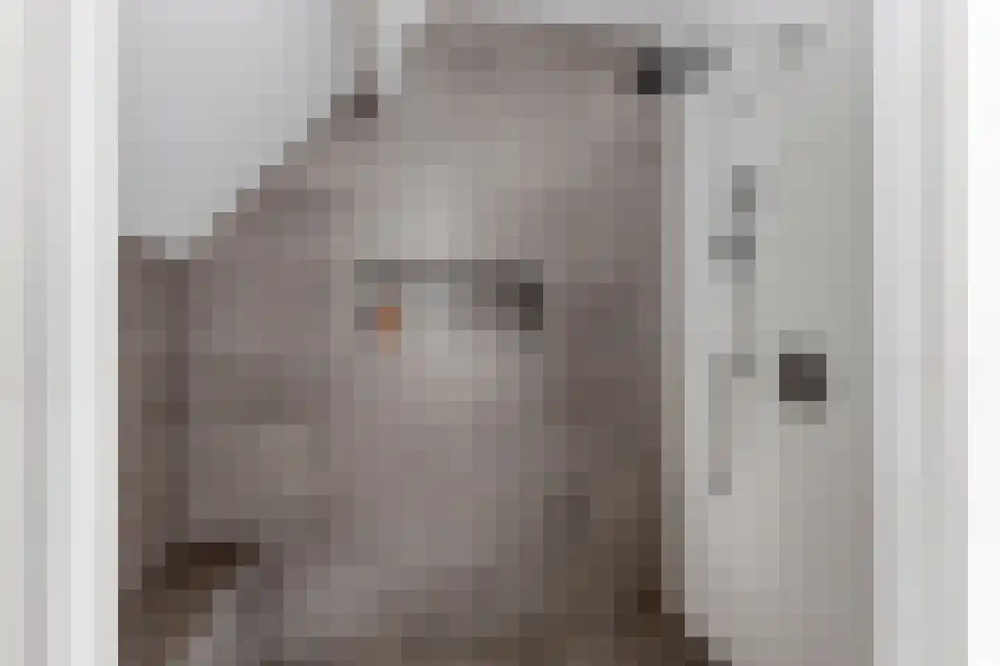 Groot Deunkweg 20 Aalten thumbnail 32