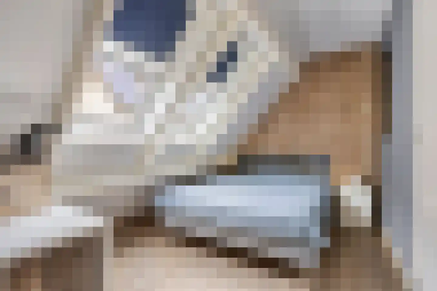 Groot Deunkweg 20 Aalten thumbnail 33