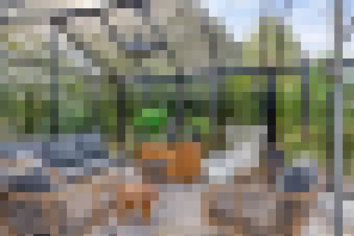 Groot Deunkweg 20 Aalten thumbnail 42
