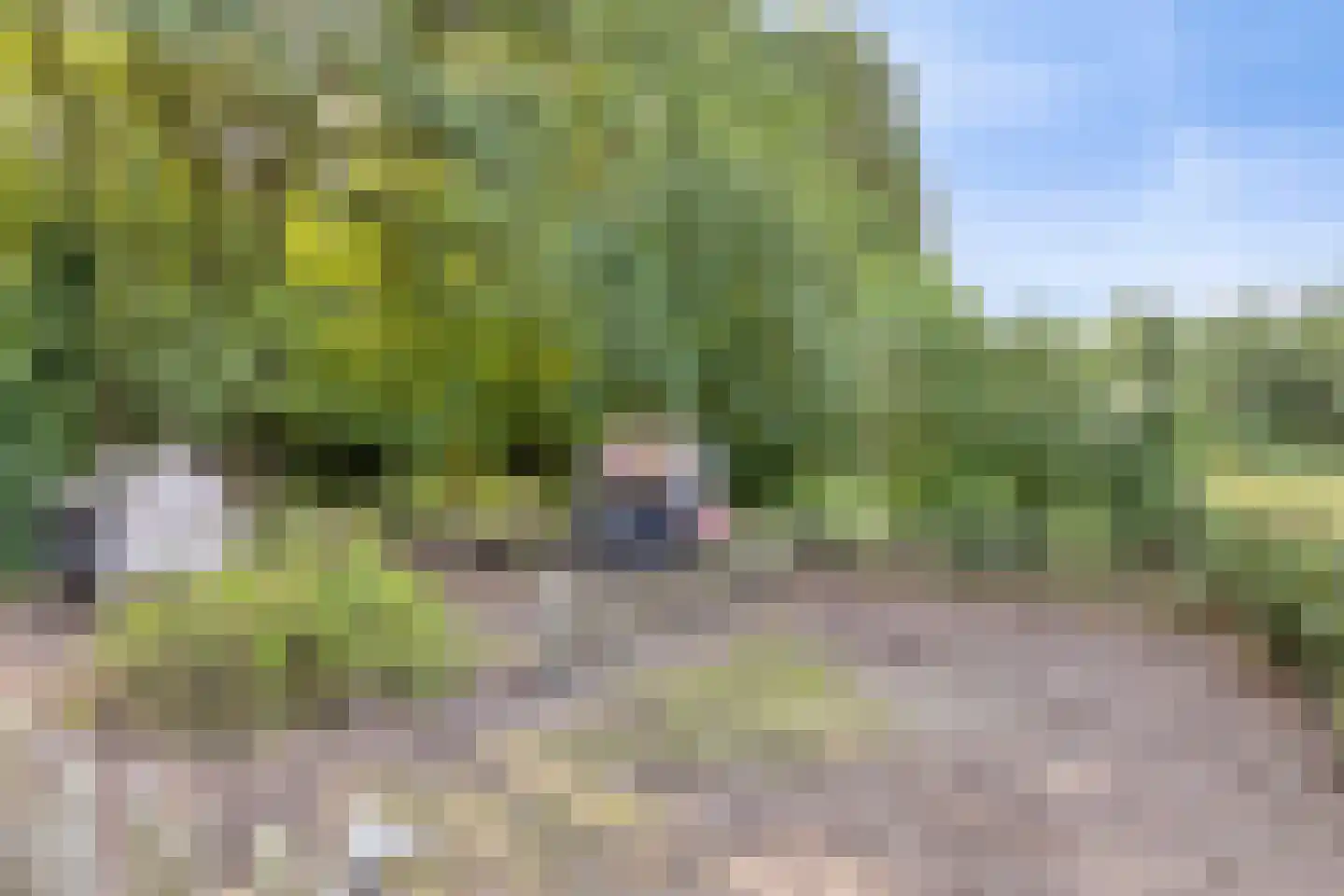 Groot Deunkweg 20 Aalten thumbnail 43