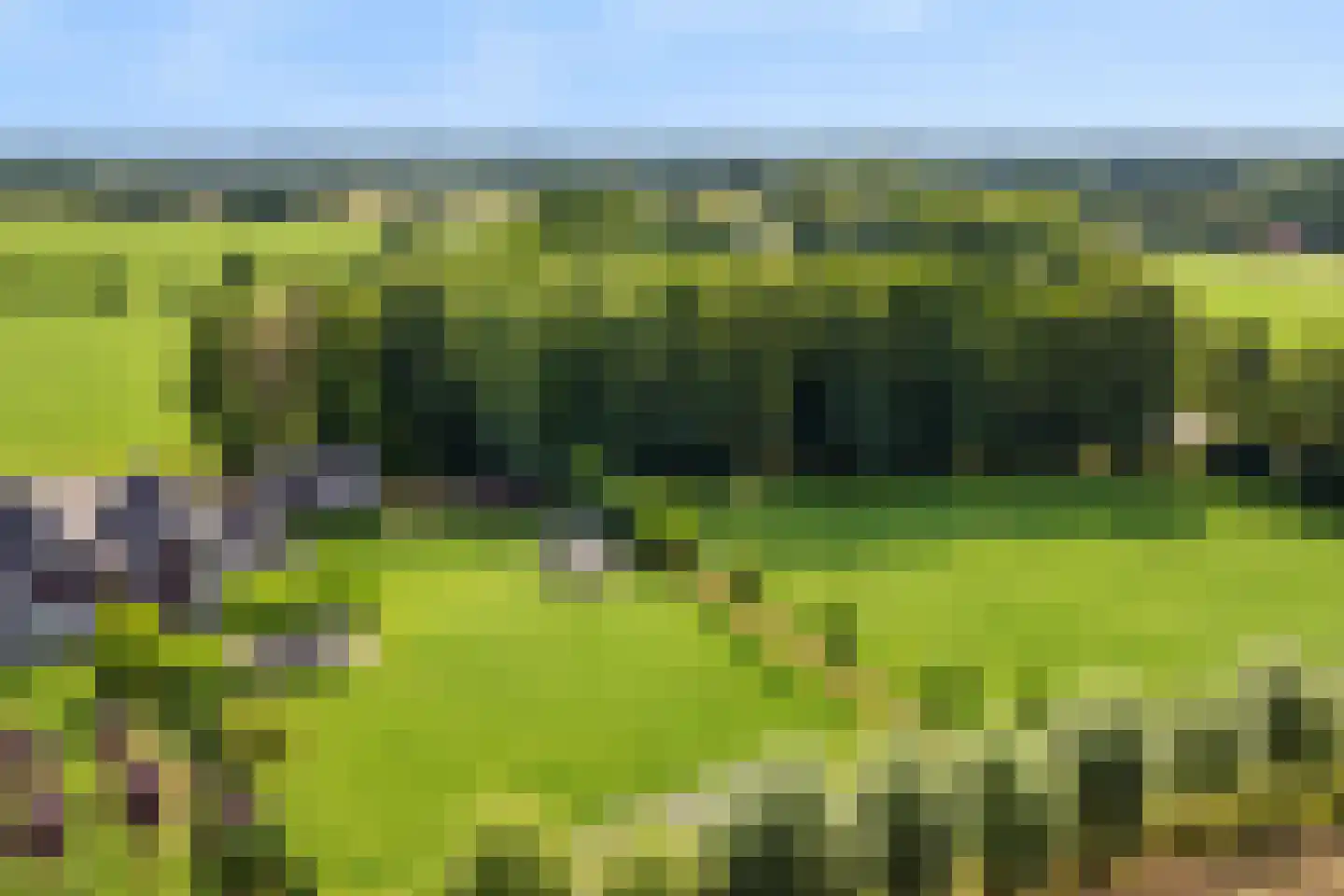 Groot Deunkweg 20 Aalten thumbnail 44
