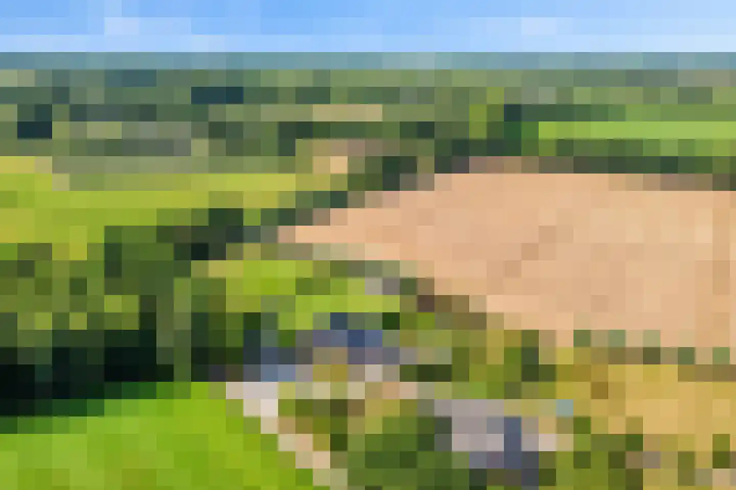 Groot Deunkweg 20 Aalten thumbnail 46