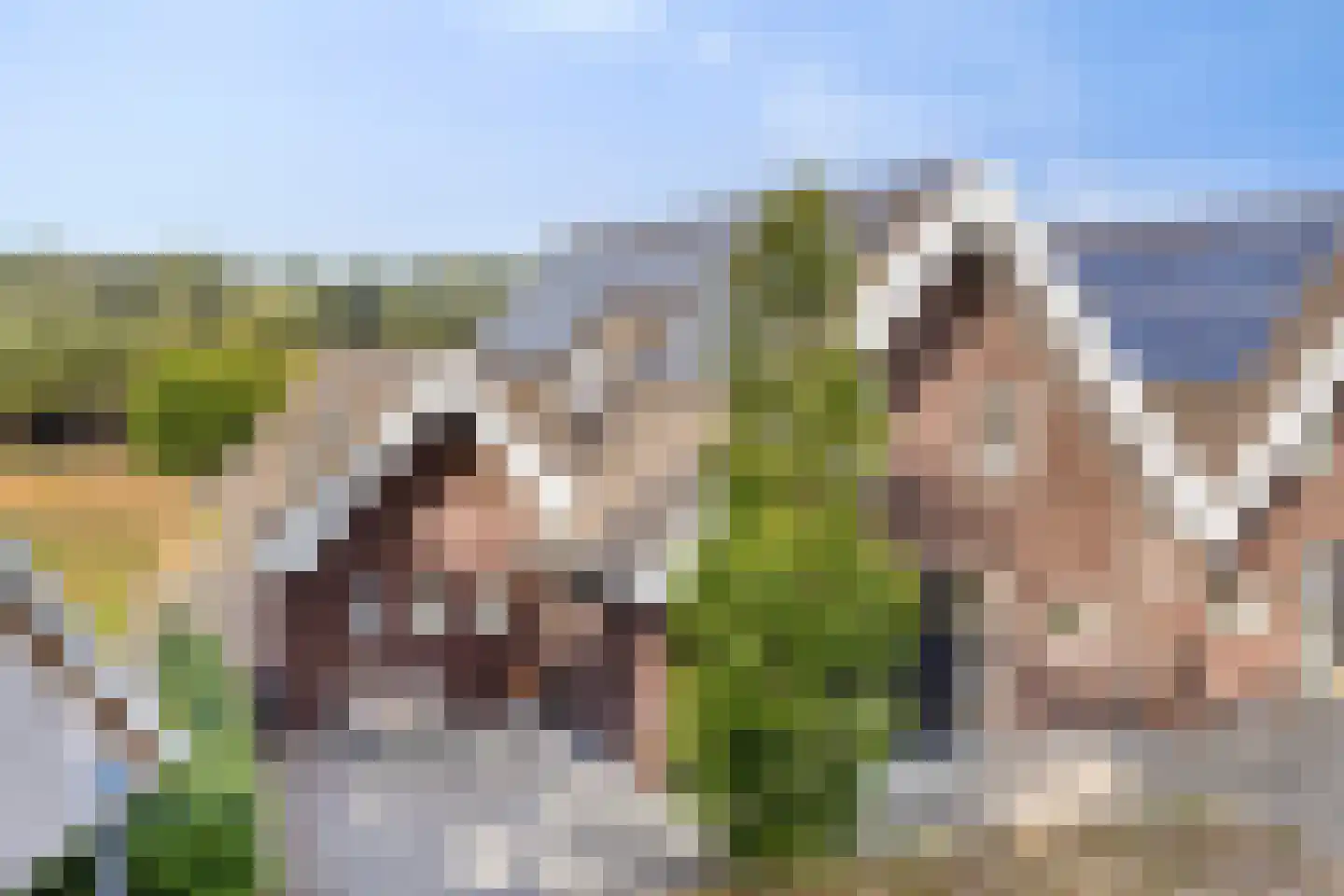 Groot Deunkweg 20 Aalten thumbnail 47