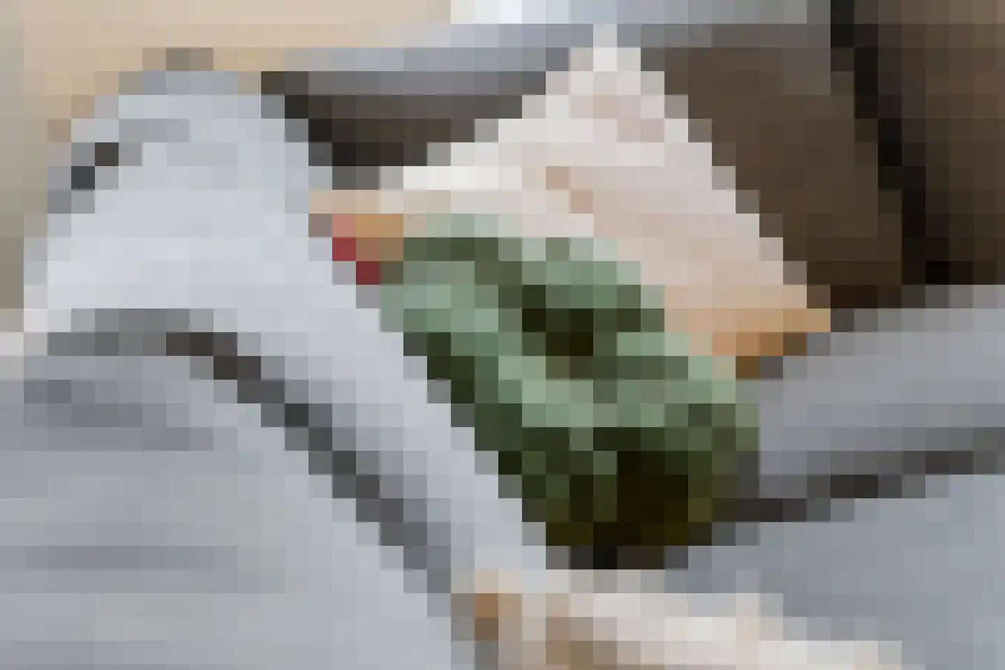 Groot Dikkopje 13 Tiel thumbnail 11