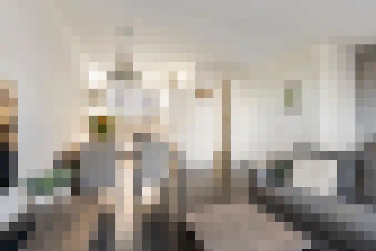 Groot Dikkopje 13 Tiel thumbnail 13