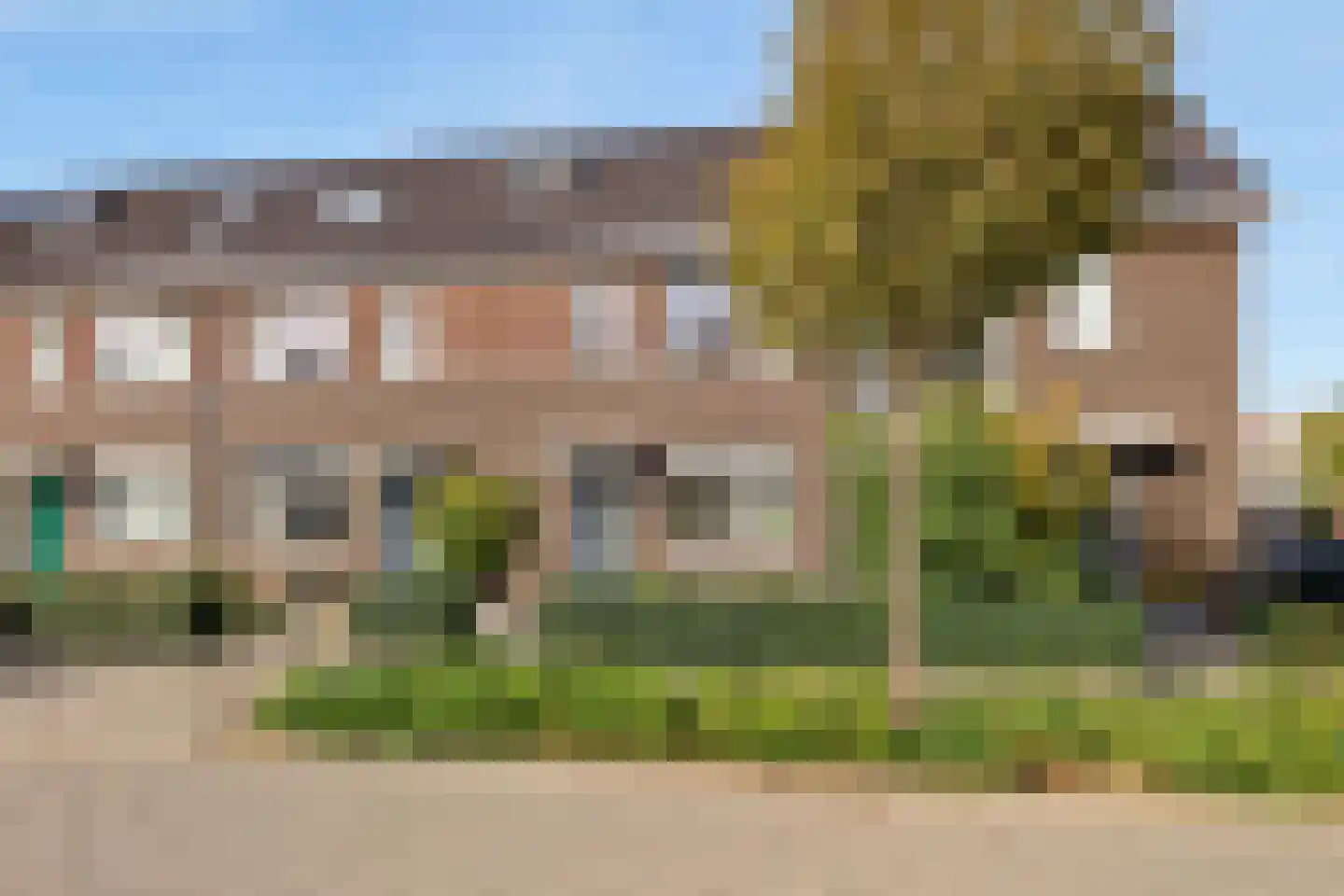 Groot Dikkopje 13 Tiel foto 2
