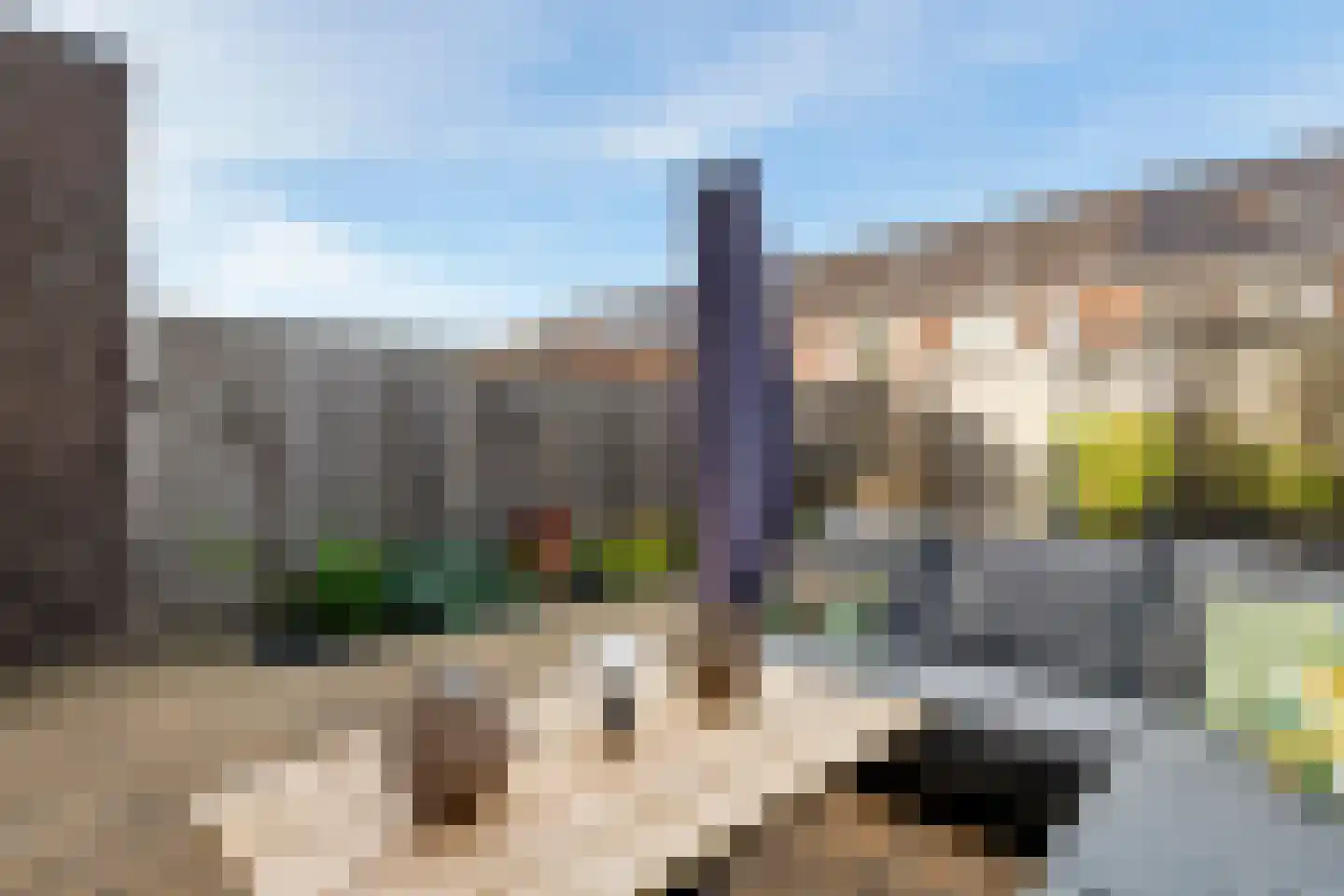 Groot Dikkopje 13 Tiel thumbnail 39