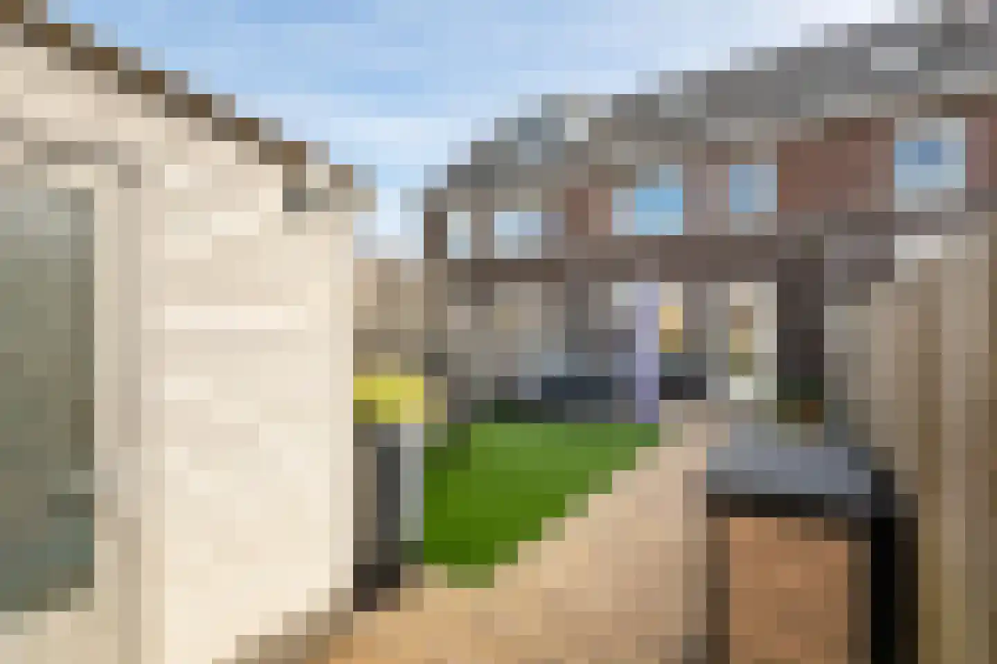 Groot Dikkopje 13 Tiel thumbnail 41
