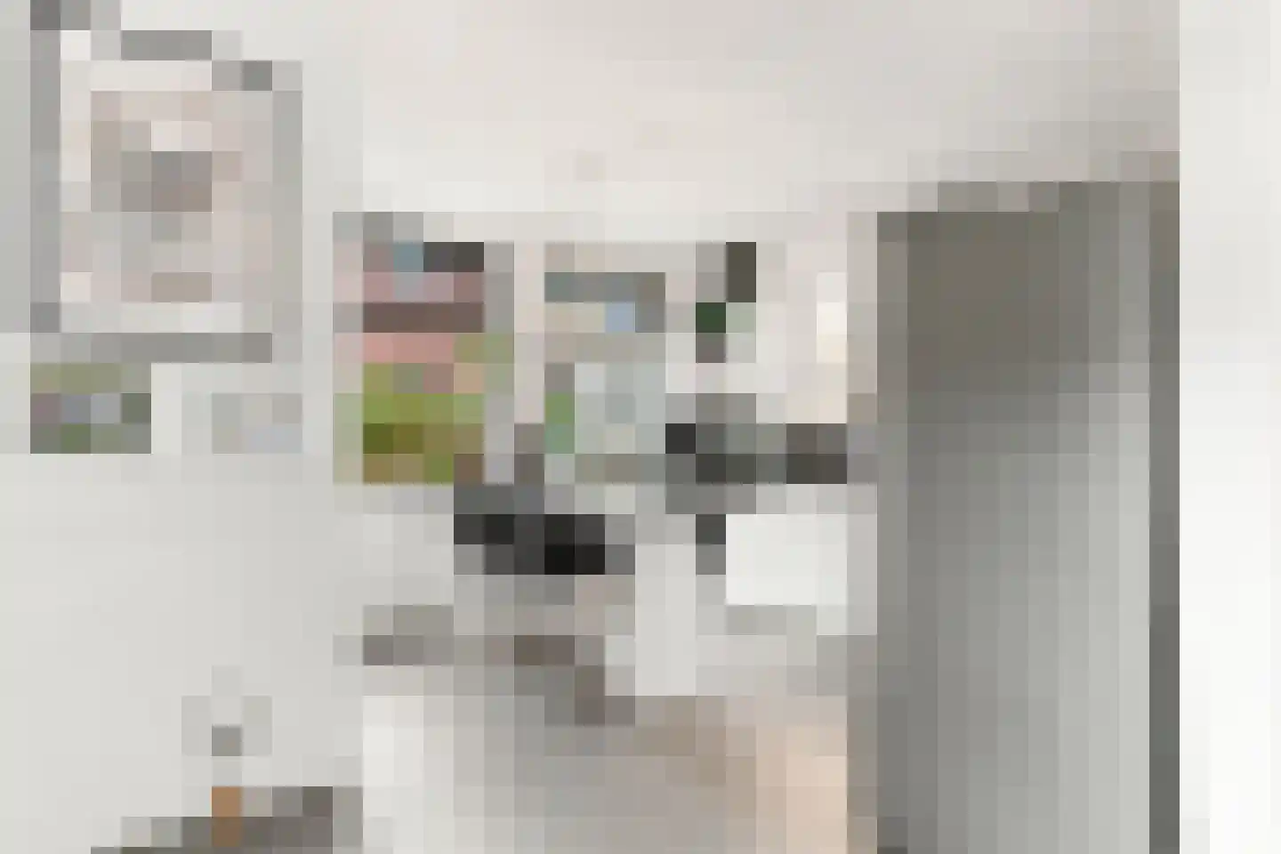 Groot Dorregeest 2 Uitgeest thumbnail 17