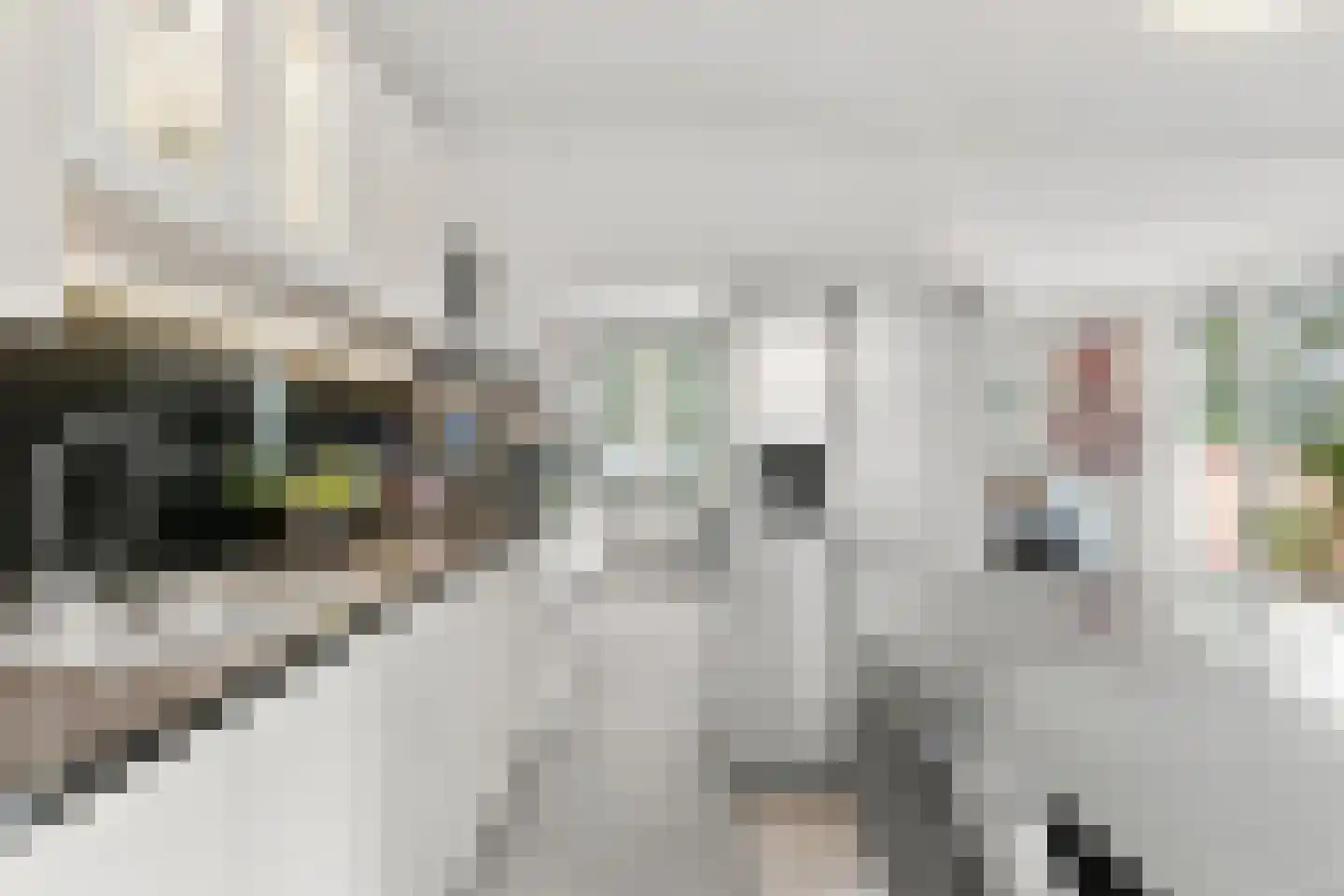Groot Dorregeest 2 Uitgeest thumbnail 18