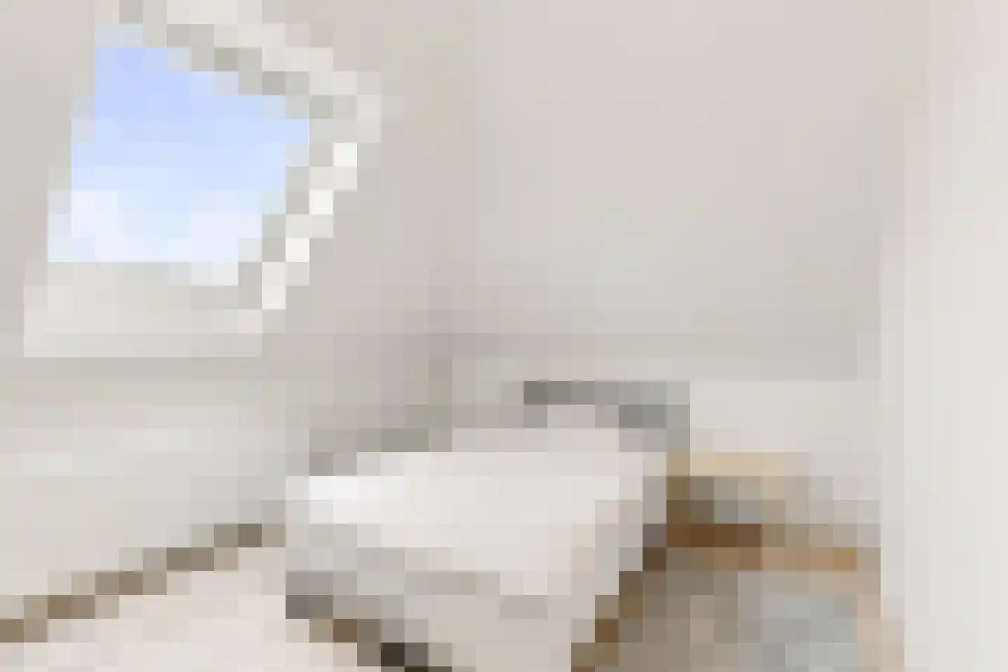 Groot Dorregeest 2 Uitgeest thumbnail 26