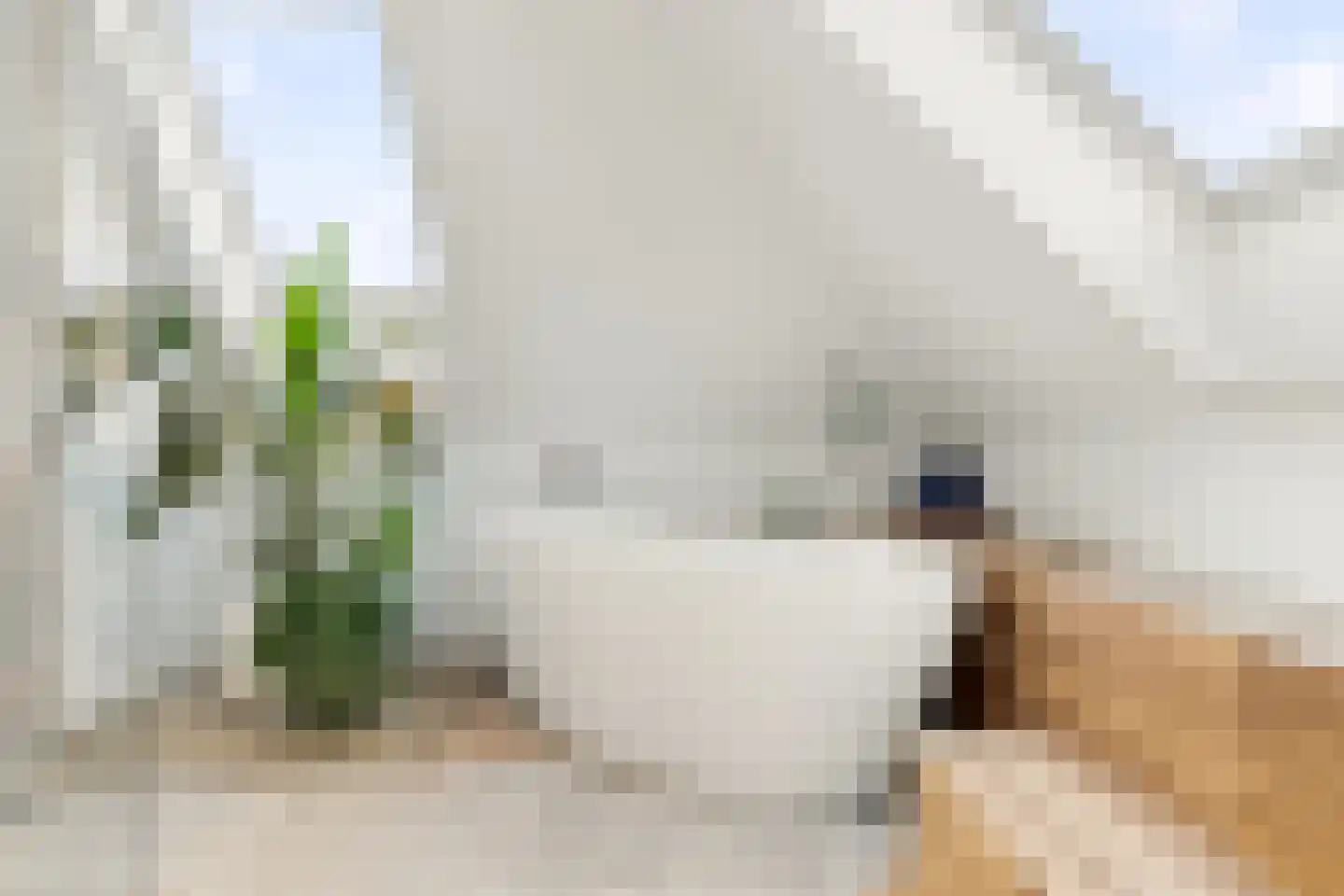 Groot Dorregeest 2 Uitgeest thumbnail 32