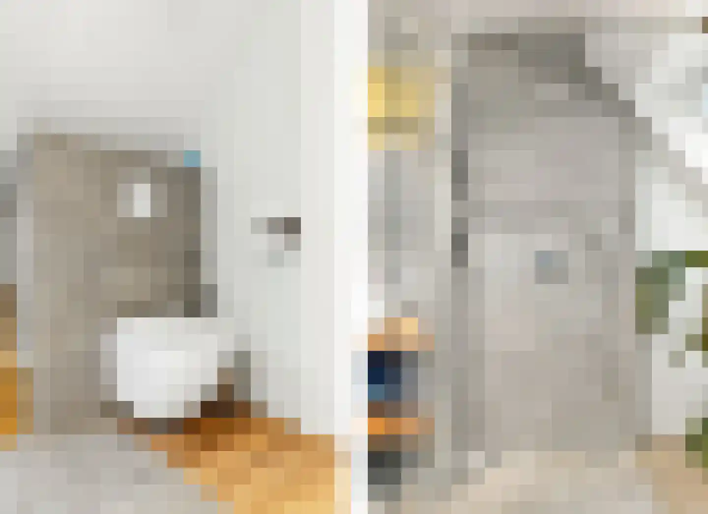 Groot Dorregeest 2 Uitgeest thumbnail 36