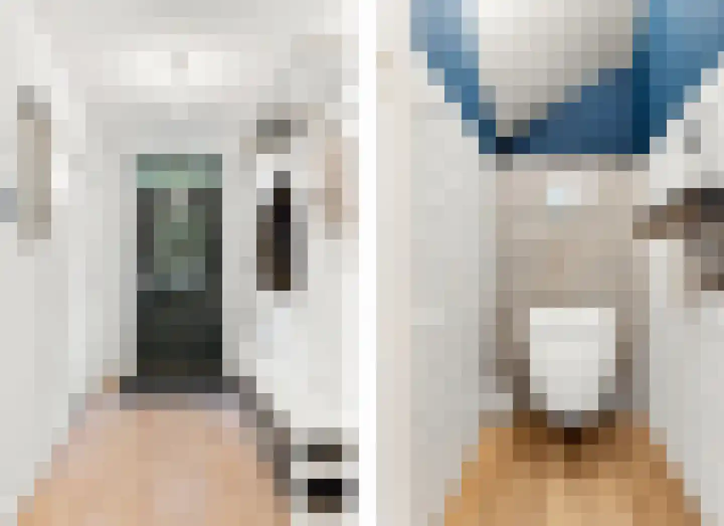 Groot Dorregeest 2 Uitgeest thumbnail 37