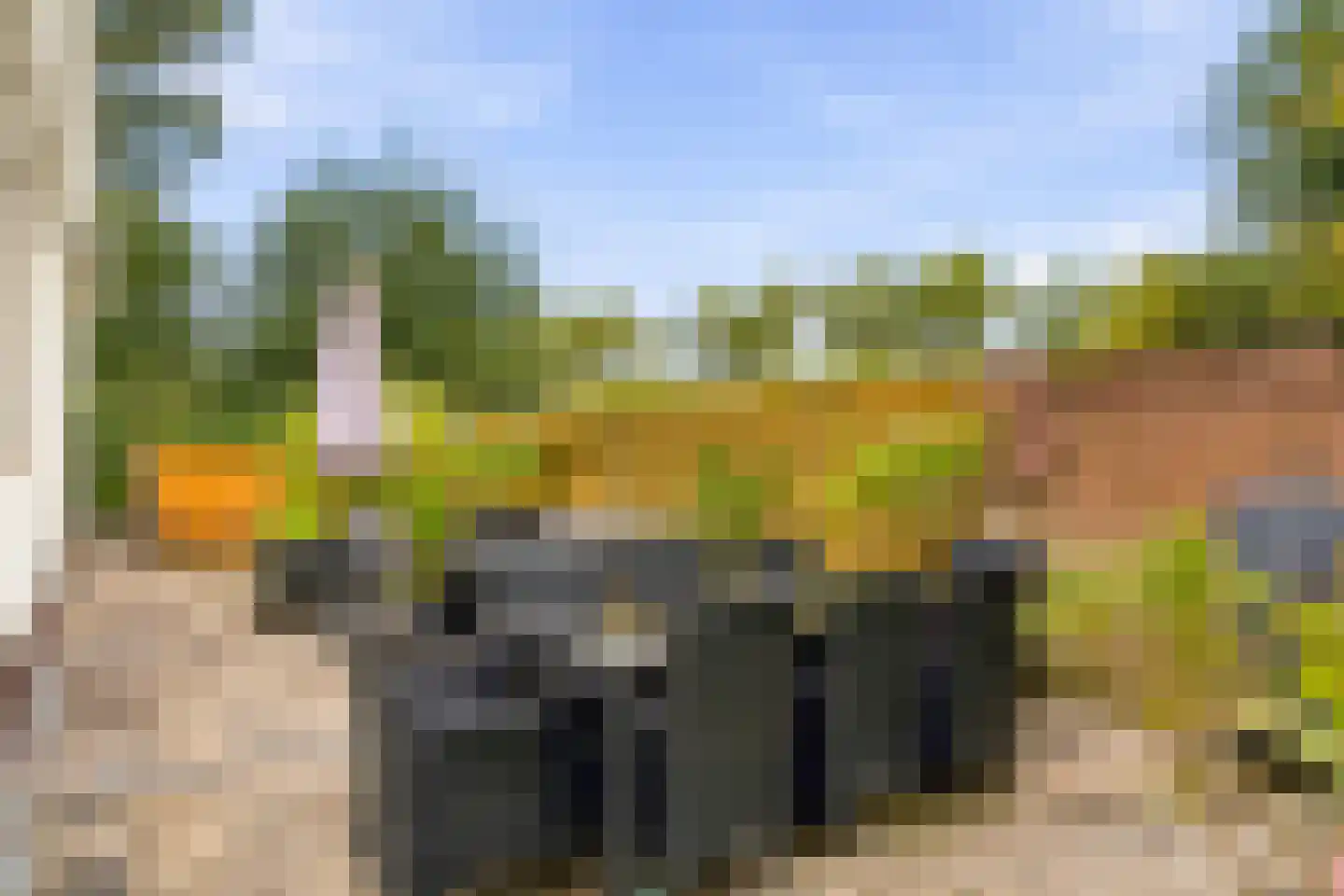 Groot Dorregeest 2 Uitgeest thumbnail 41