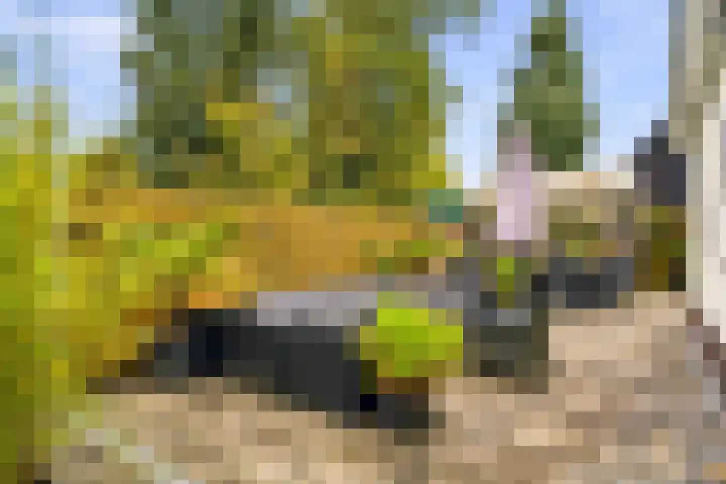 Groot Dorregeest 2 Uitgeest thumbnail 42