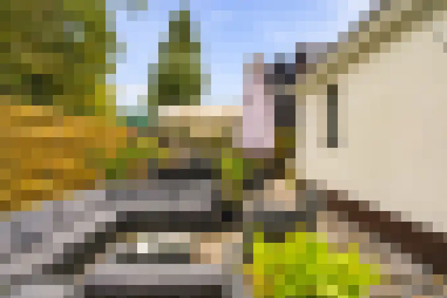 Groot Dorregeest 2 Uitgeest thumbnail 43