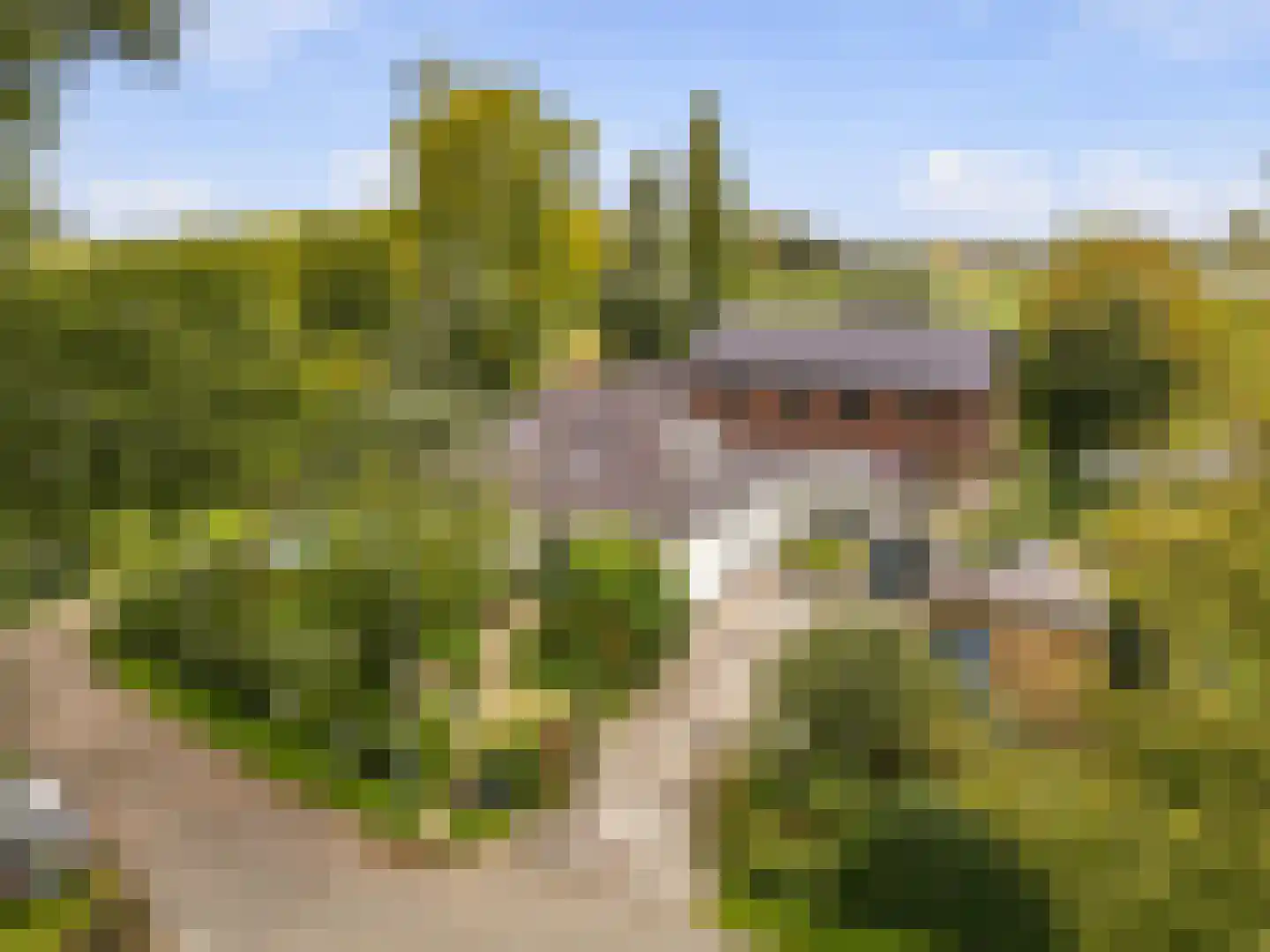 Groot Dorregeest 2 Uitgeest thumbnail 5