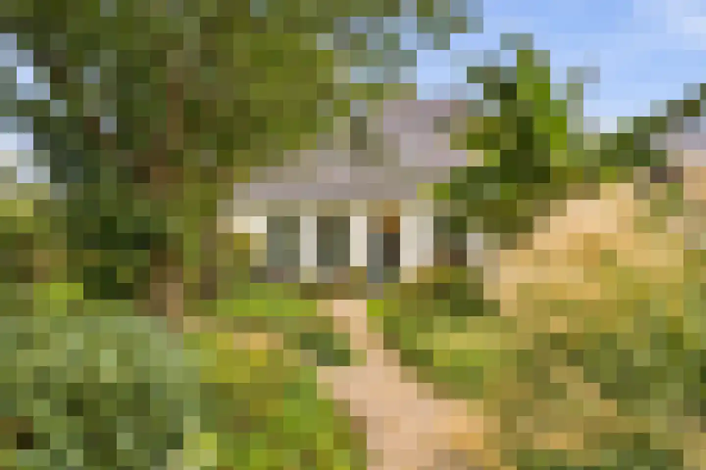 Groot Dorregeest 2 Uitgeest thumbnail 50