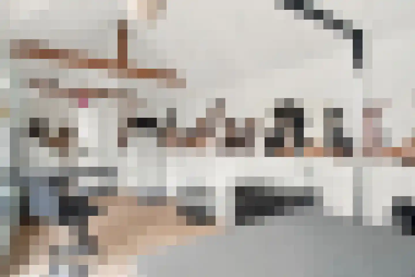 Groot Dorregeest 2 Uitgeest thumbnail 55