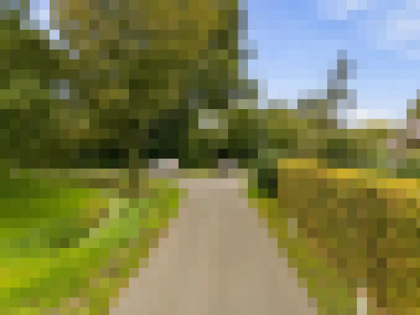 Groot Dorregeest 2 Uitgeest thumbnail 6