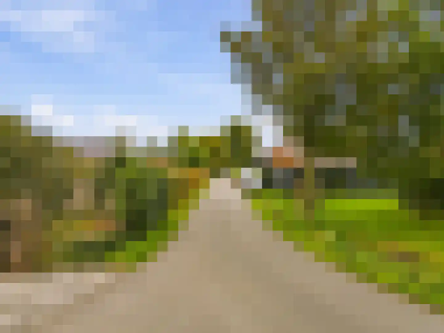 Groot Dorregeest 2 Uitgeest thumbnail 7