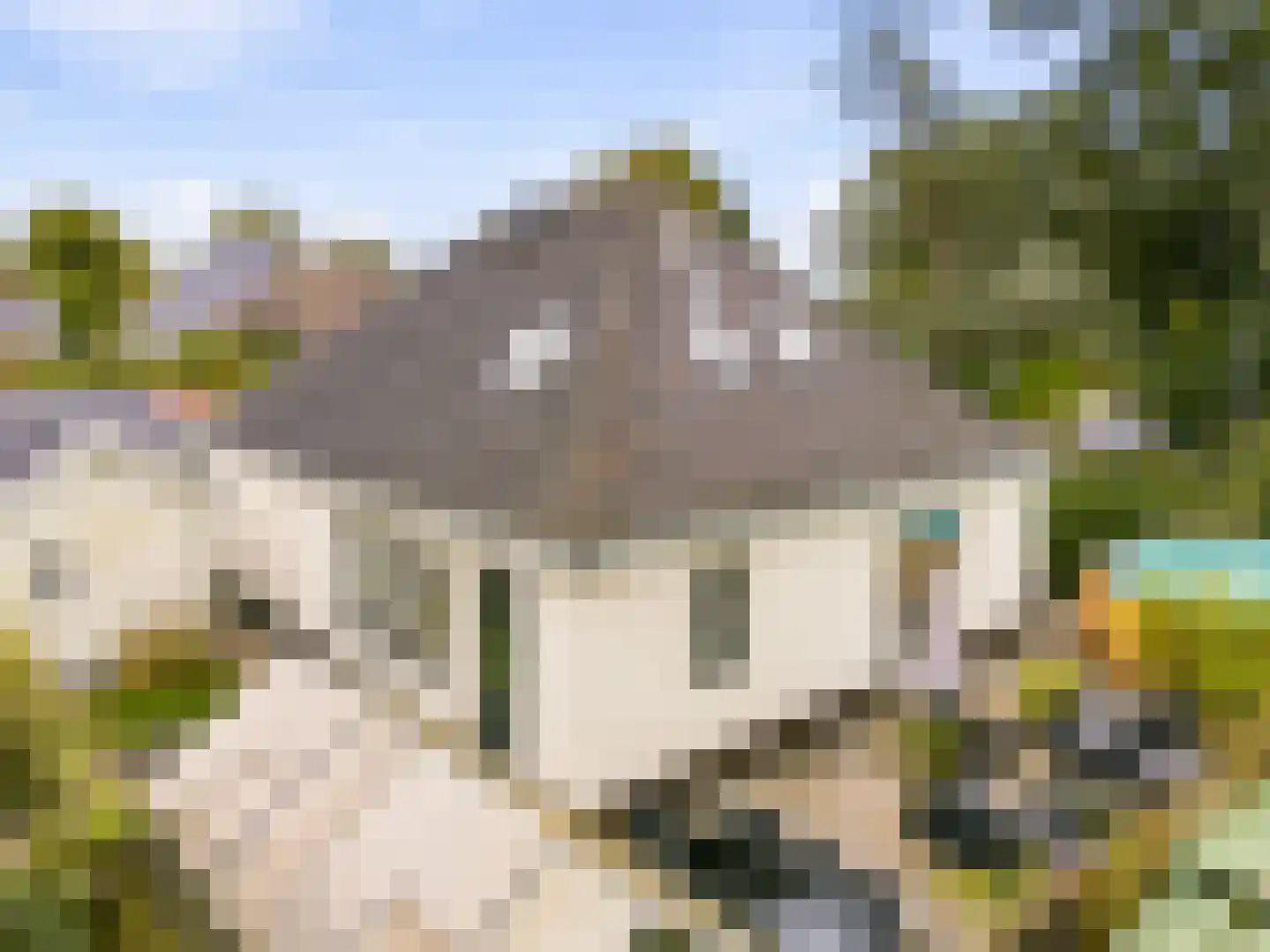 Groot Dorregeest 2 Uitgeest thumbnail 9
