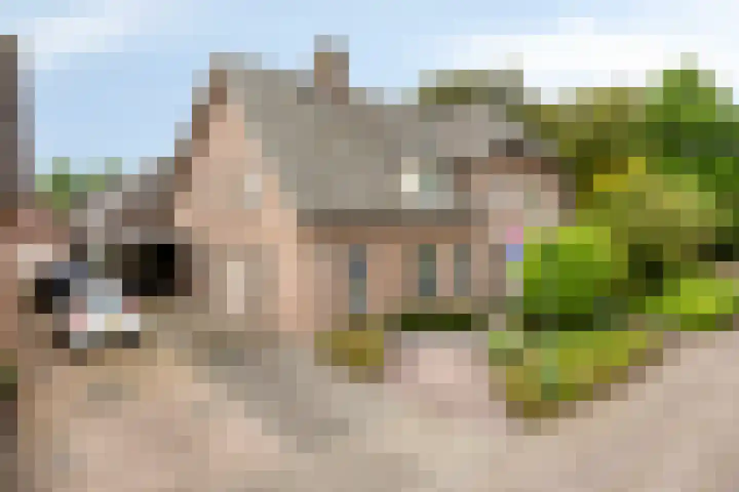 Groot Dorsent 4 in Erp