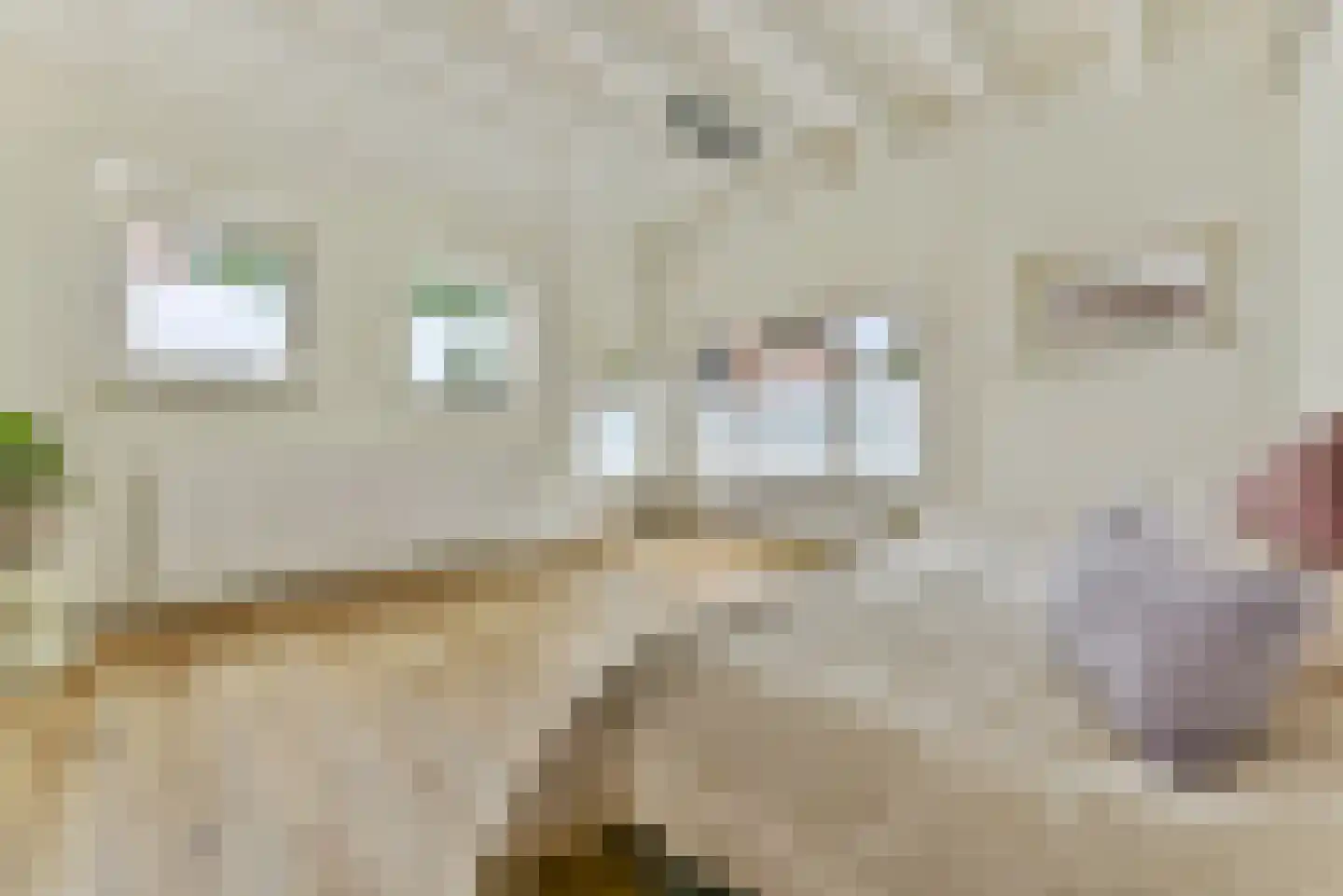 Groot Emiclaer 158 Amersfoort thumbnail 19