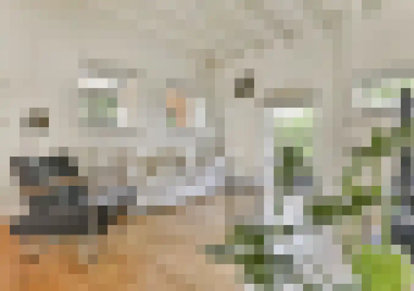 Groot Emiclaer 158 Amersfoort thumbnail 4