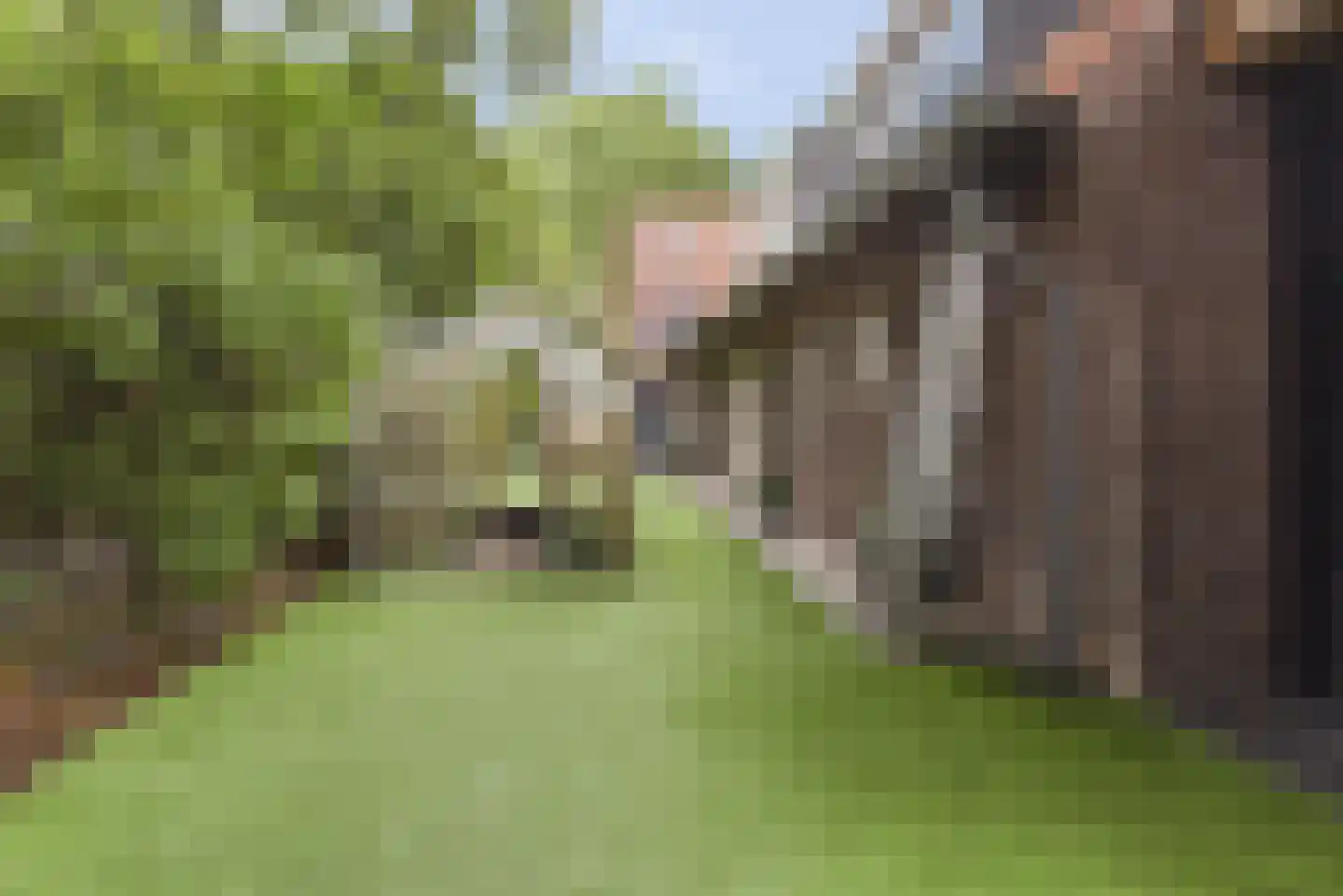 Groot Emiclaer 158 Amersfoort thumbnail 48