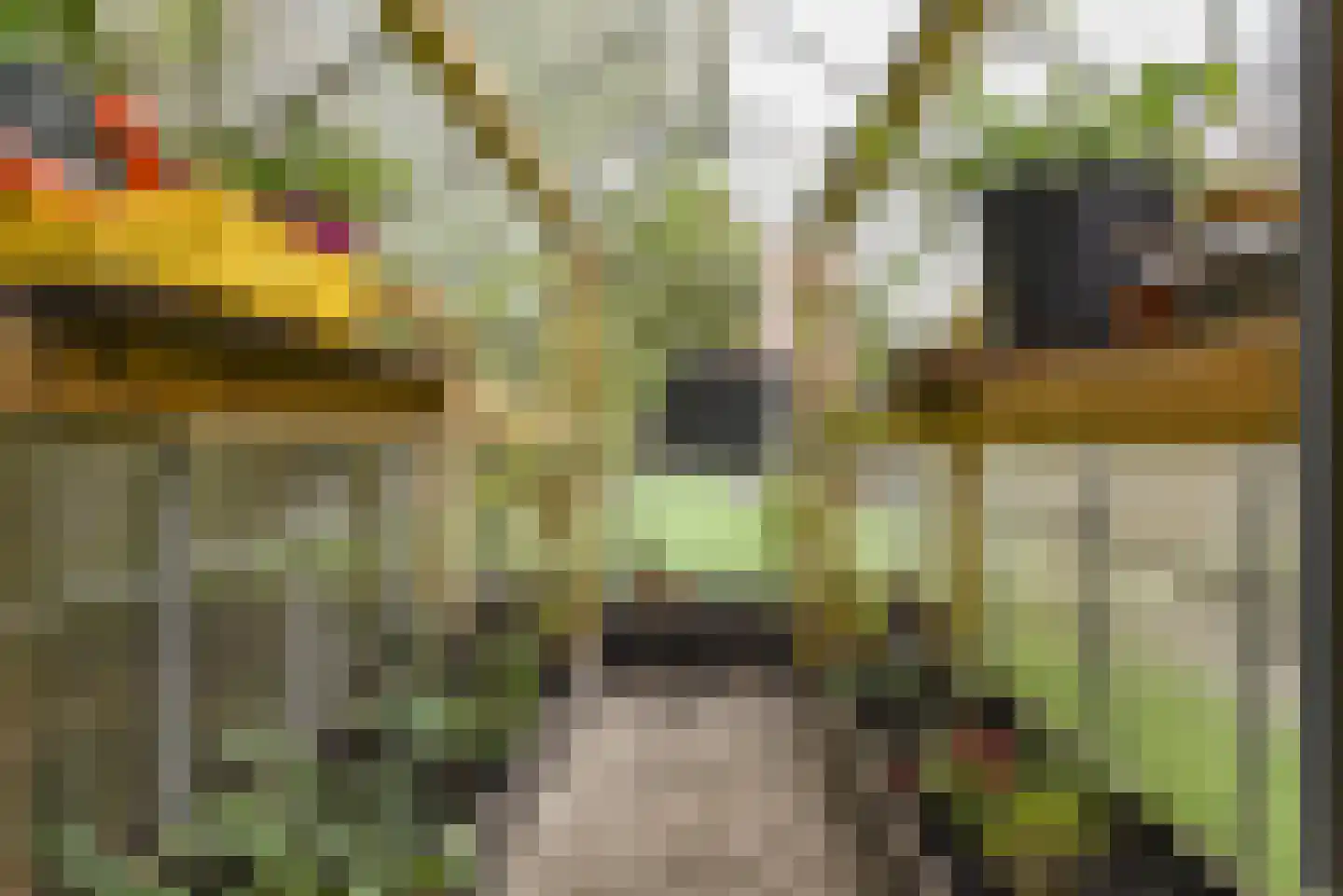 Groot Emiclaer 158 Amersfoort thumbnail 49