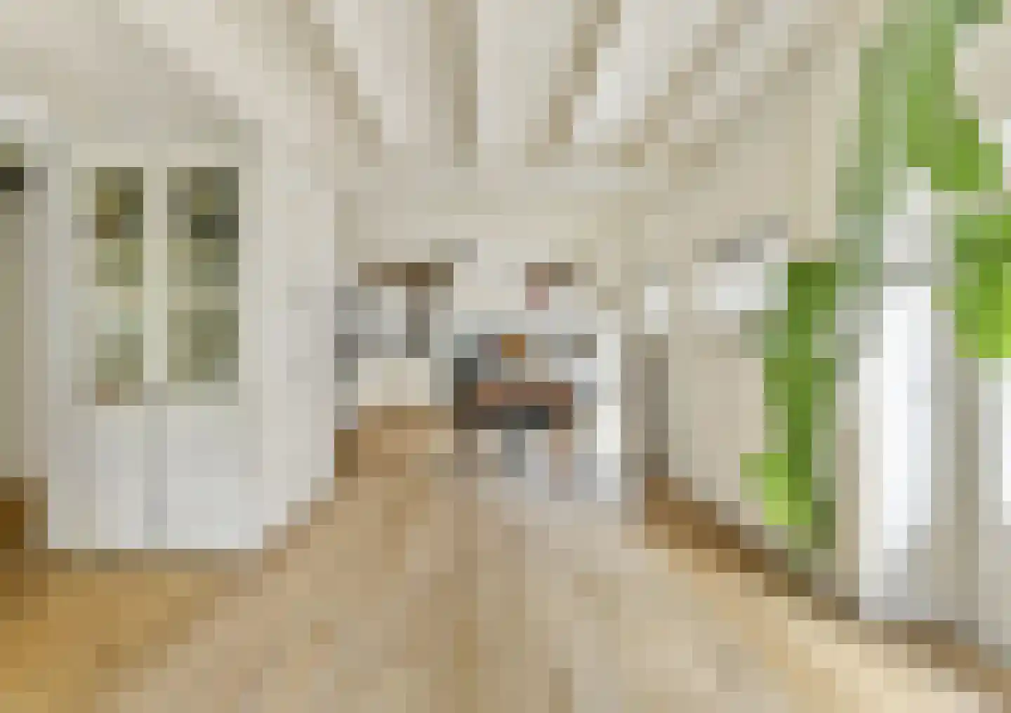 Groot Emiclaer 158 Amersfoort thumbnail 9