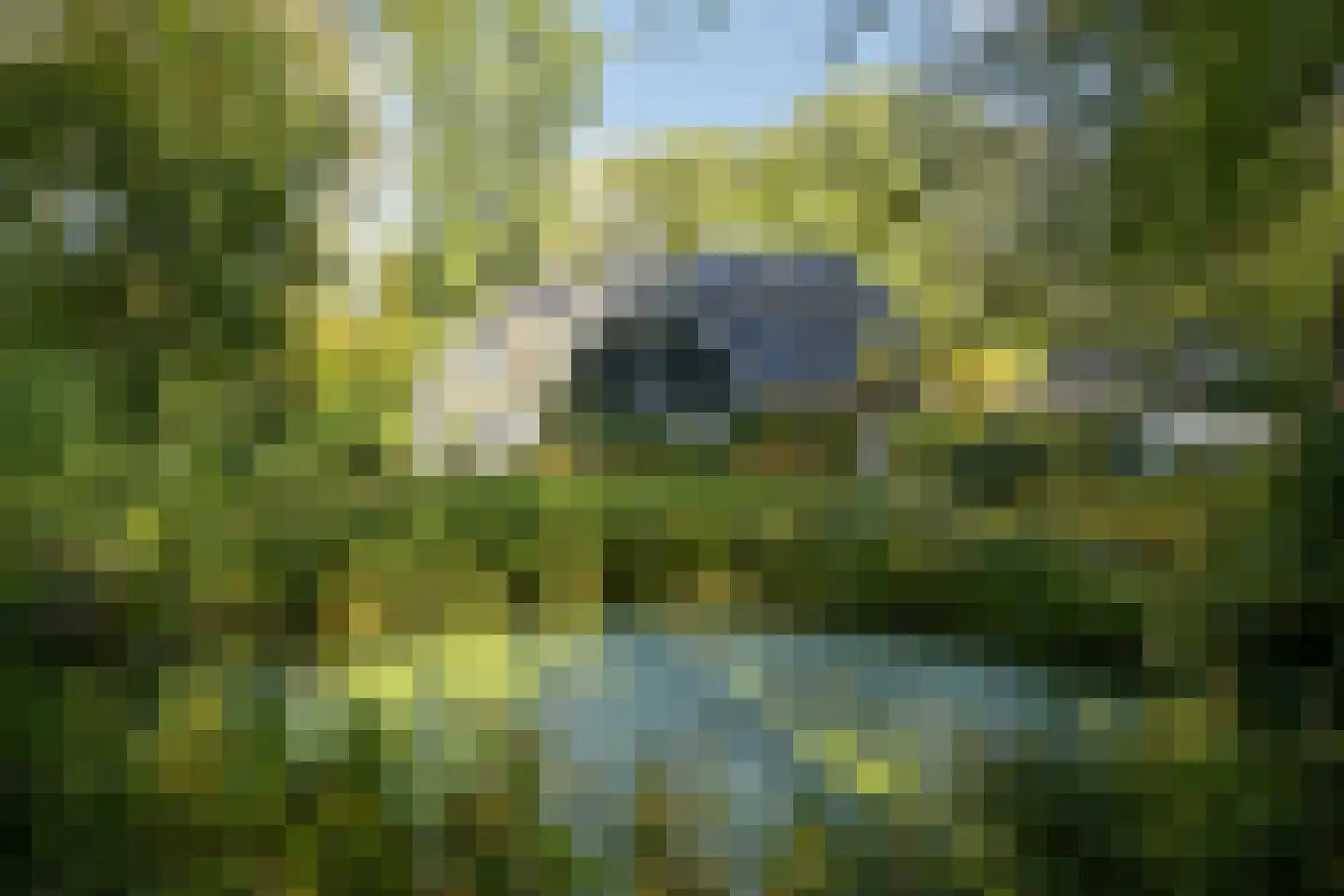 Groot Haesebroekseweg 20 Wassenaar thumbnail 15