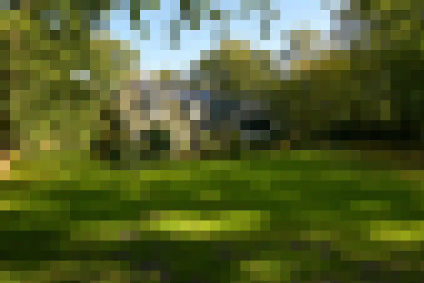Groot Haesebroekseweg 20 Wassenaar thumbnail 38