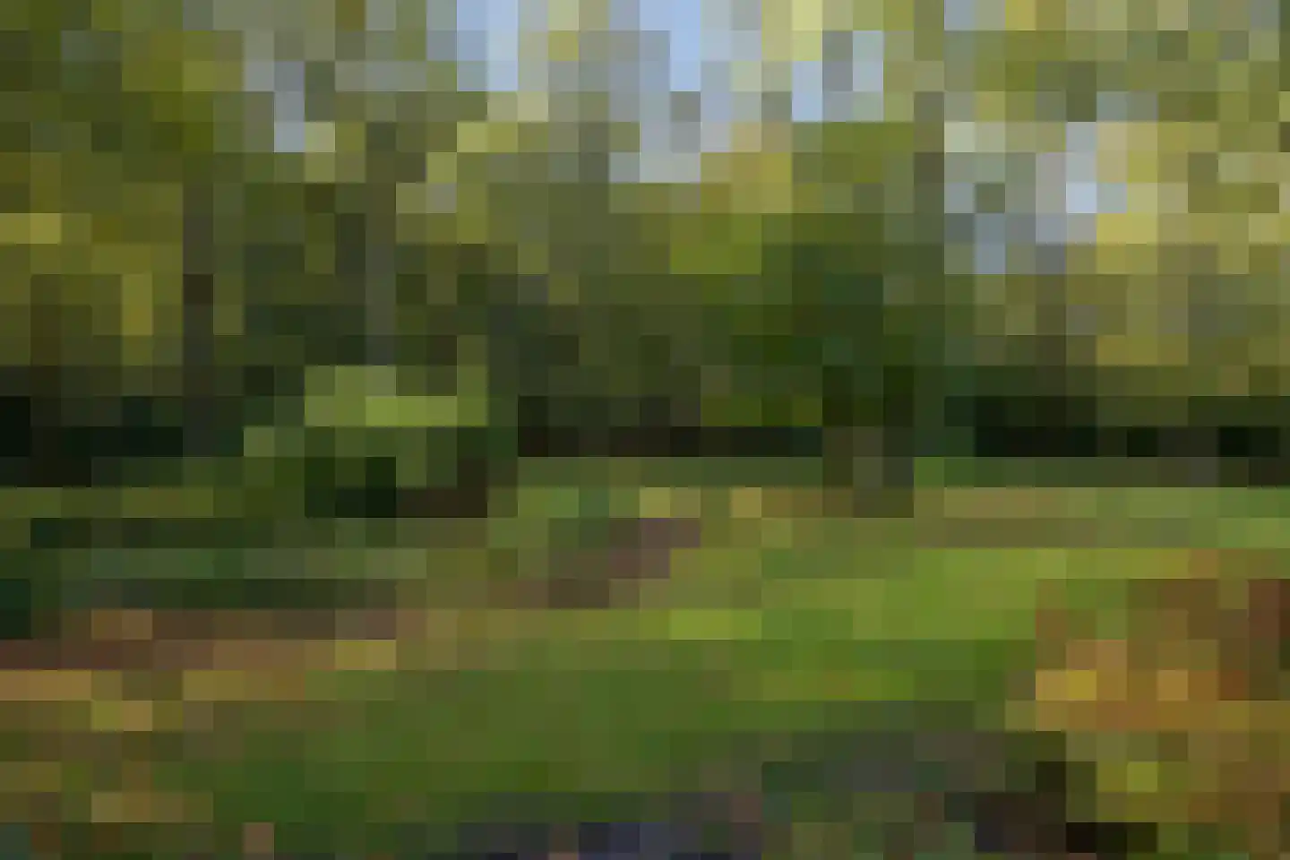 Groot Haesebroekseweg 20 Wassenaar thumbnail 4