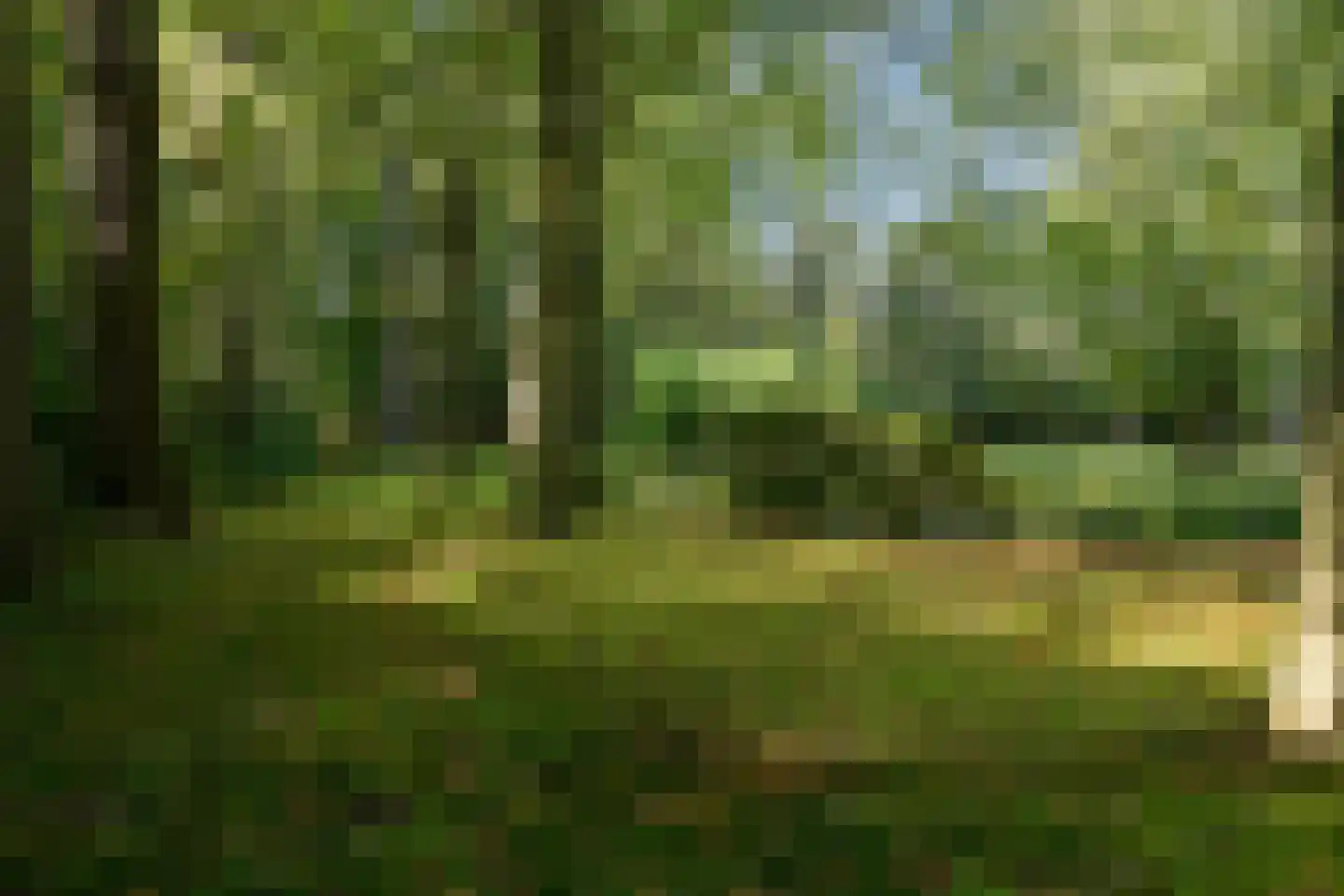 Groot Haesebroekseweg 20 Wassenaar thumbnail 40