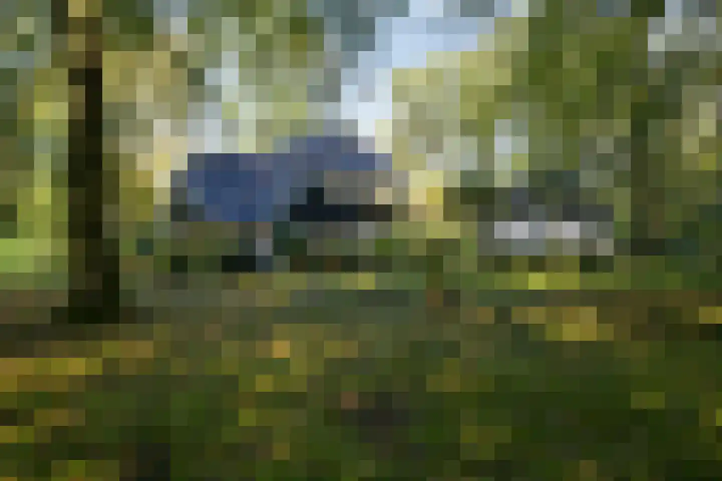 Groot Haesebroekseweg 20 Wassenaar thumbnail 41