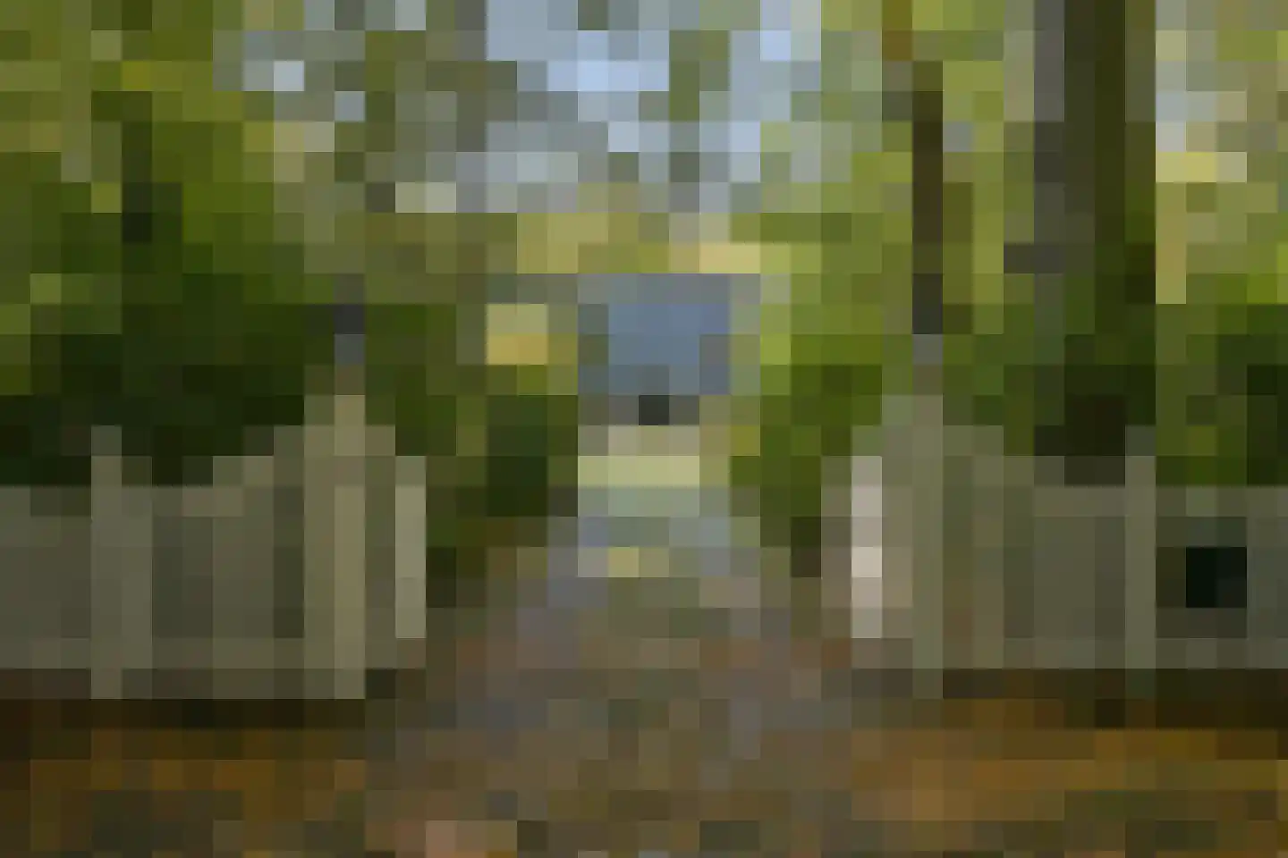 Groot Haesebroekseweg 20 Wassenaar thumbnail 5