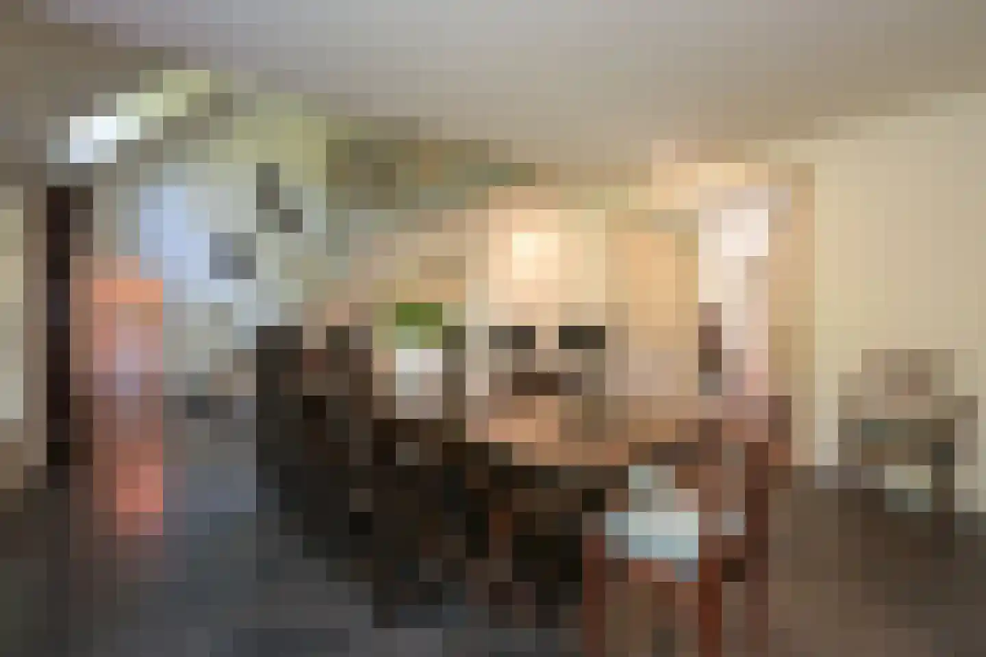 Groot Haesebroekseweg 20 Wassenaar thumbnail 9