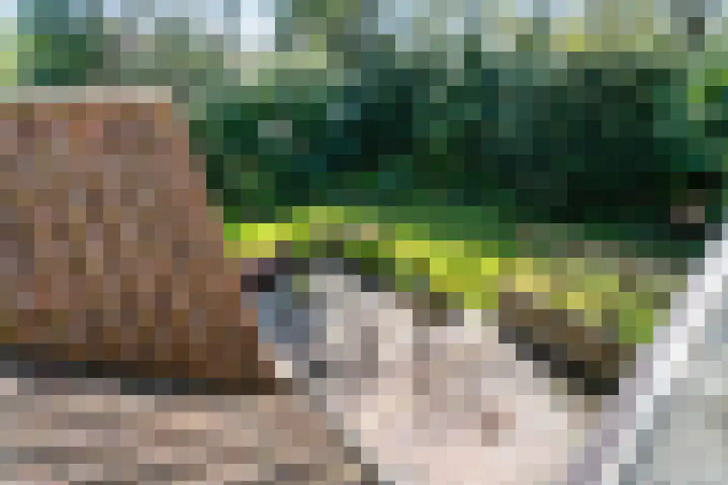 Groot Haesebroekseweg 21 Wassenaar thumbnail 21