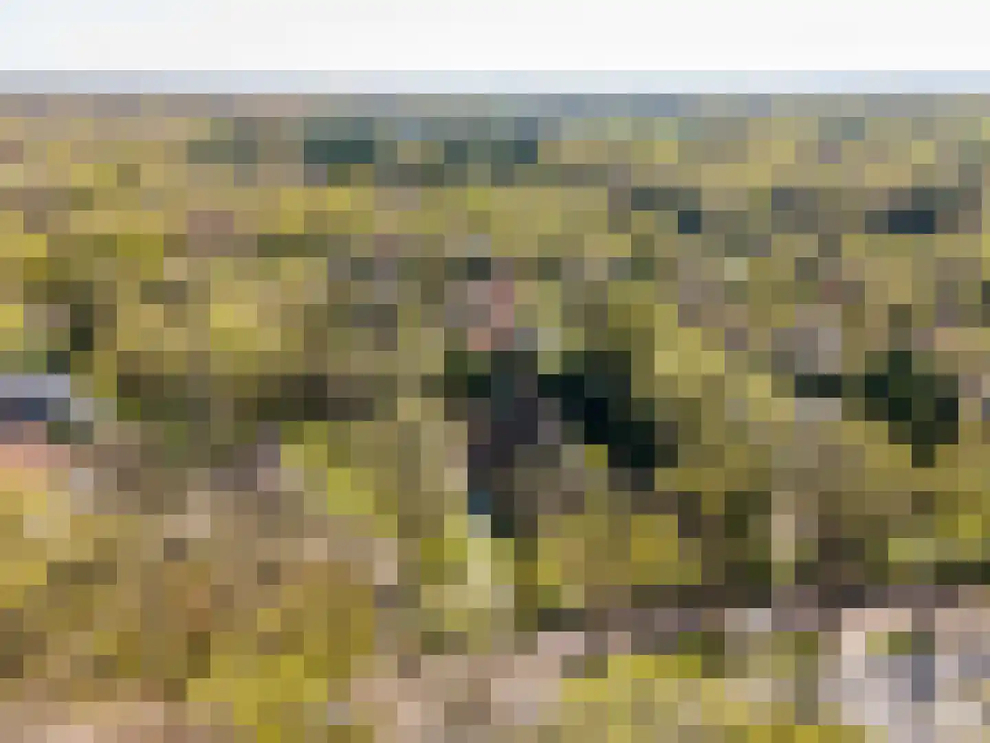 Groot Haesebroekseweg 21 Wassenaar thumbnail 31