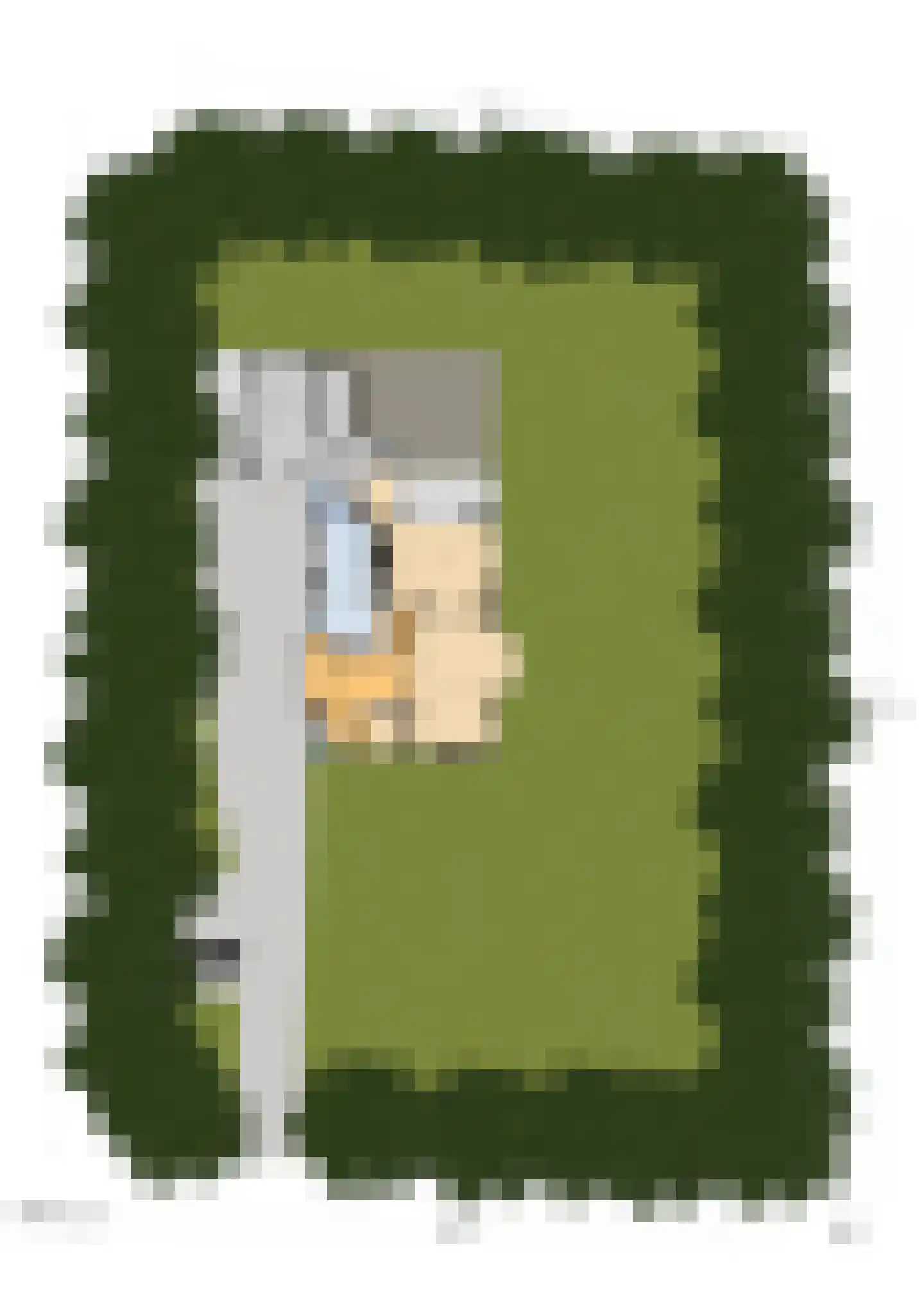 Groot Haesebroekseweg 21 Wassenaar thumbnail 32