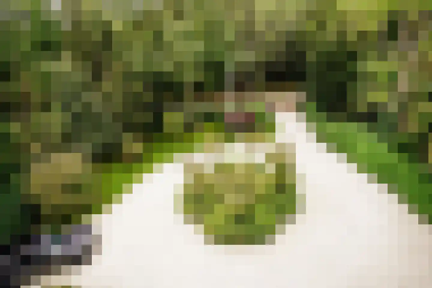 Groot Haesebroekseweg 27 B Wassenaar thumbnail 26