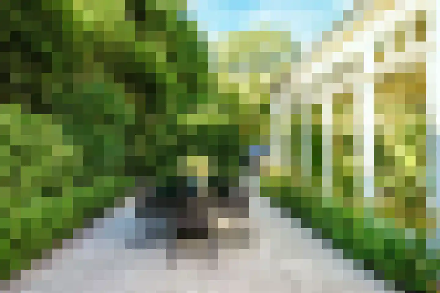Groot Haesebroekseweg 27 B Wassenaar thumbnail 38